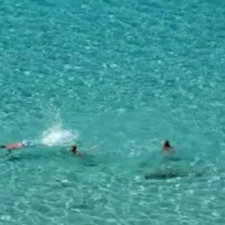 Villa Casa Le Palme *